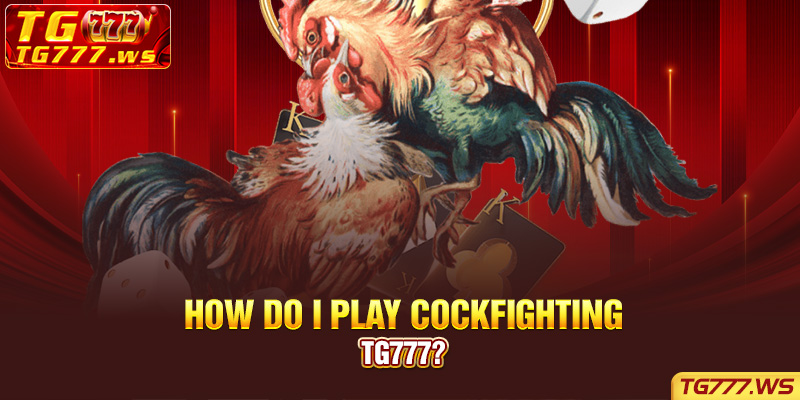 How do I play Cockfighting Lucky Cola?