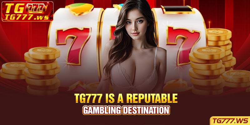 Lucky Cola is a reputable gambling destination