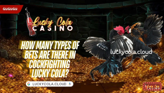 How many types of bets are there in Cockfighting Lucky Cola?