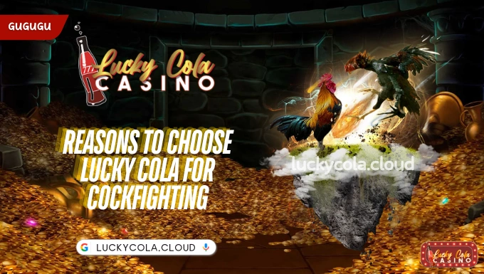 Reasons to choose Lucky Cola for cockfighting