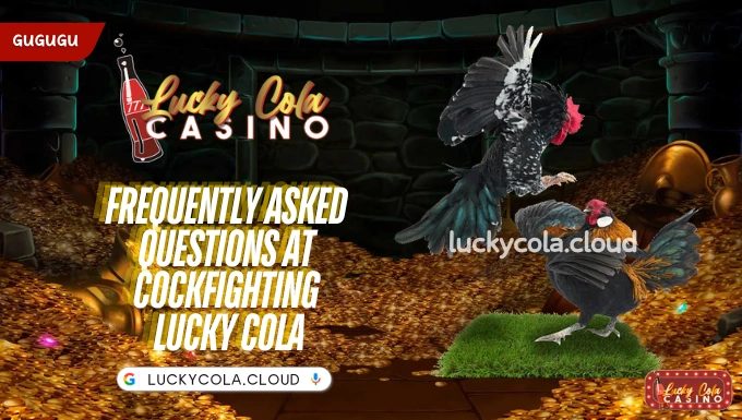 Frequently Asked Questions at Cockfighting Lucky Cola